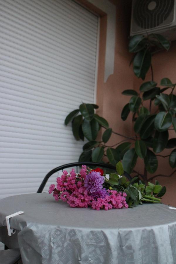 Apartman Anja Trebin Dış mekan fotoğraf
